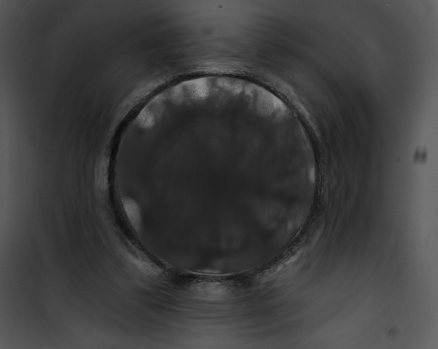 X0000100890299200807220958