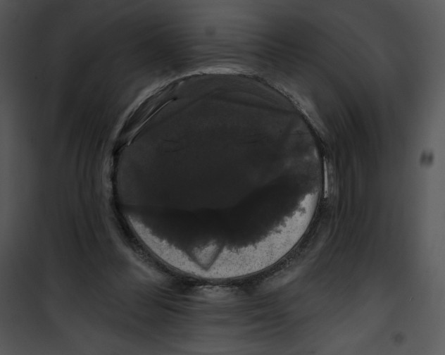 X0000100890300200807220958