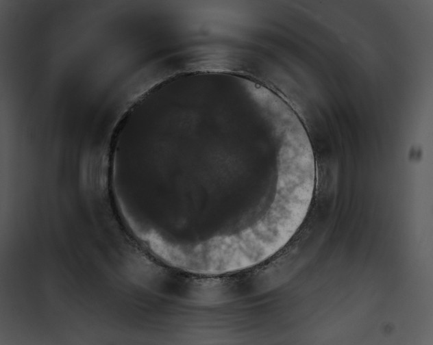 X0000100890301200807220958