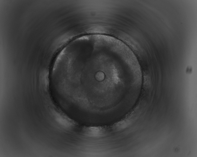 X0000100890302200807220958