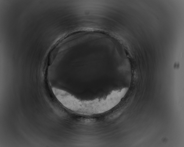 X0000100890304200807220958