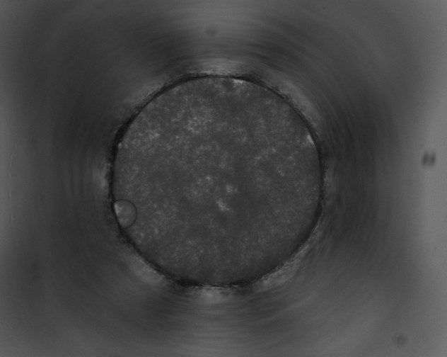 X0000100890305200807220958