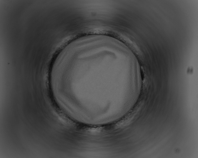 X0000100890306200807220958