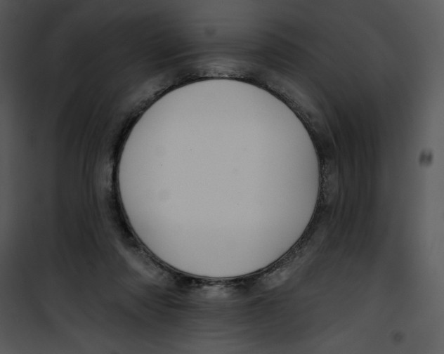 X0000100890310200807220958