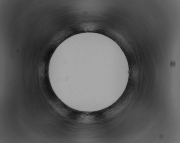 X0000100890311200807220958