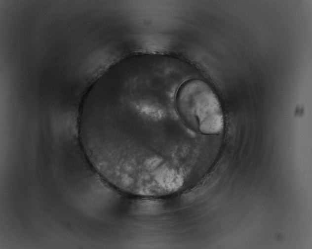 X0000100890313200807220957