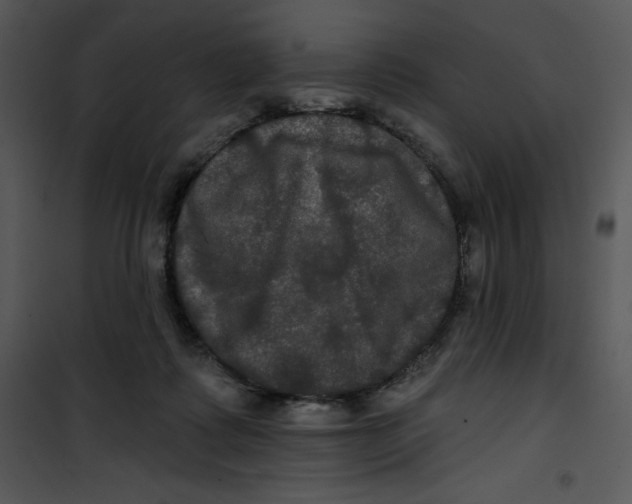 X0000100890315200807220957