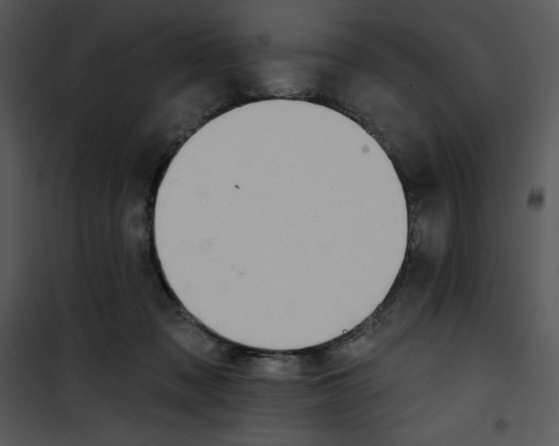 X0000100890317200807220957