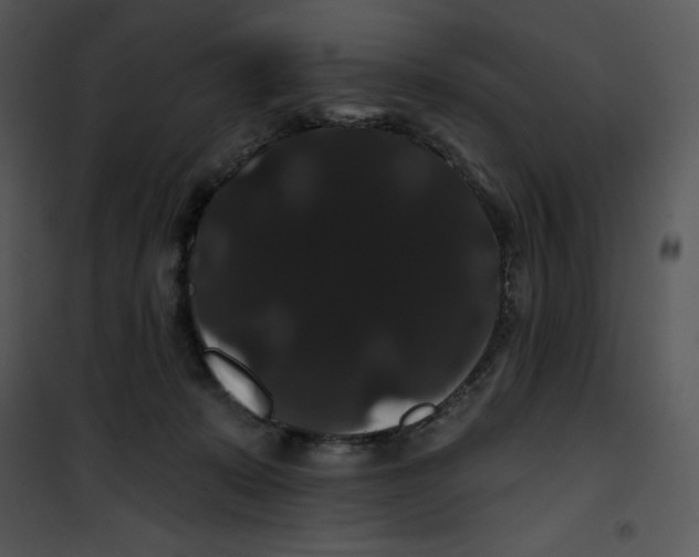 X0000100890319200807220957