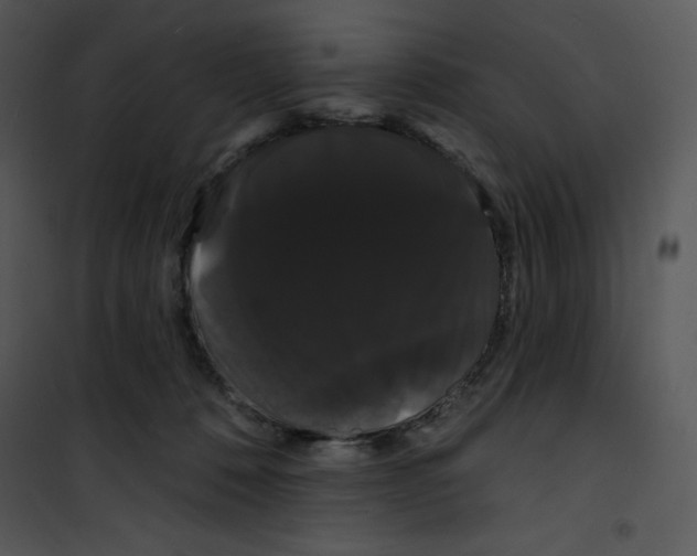 X0000100890320200807220957