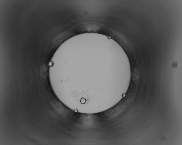 X0000100890321200807220957