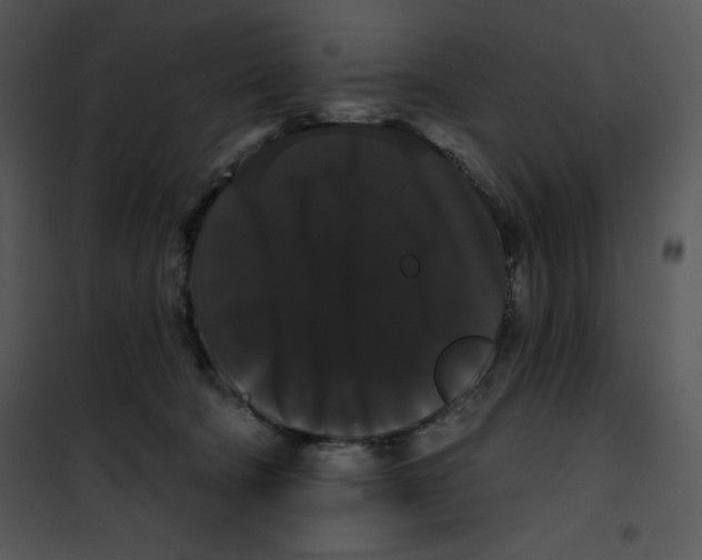 X0000100890322200807220957