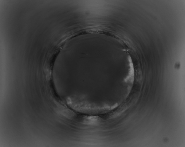 X0000100890324200807220957