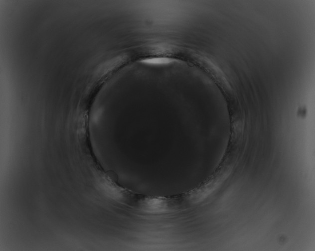 X0000100890325200807220957