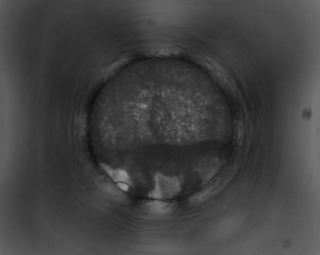 X0000100890326200807220957