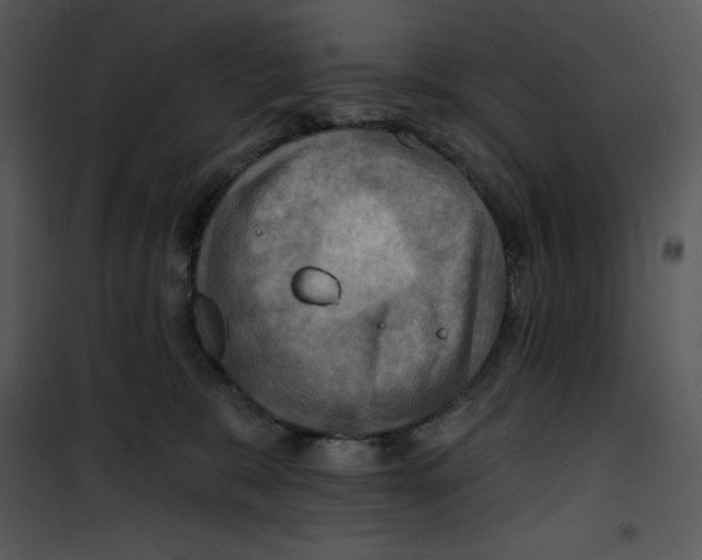 X0000100890327200807220957