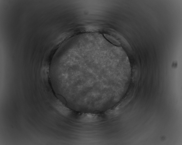 X0000100890329200807220957