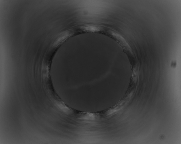 X0000100890330200807220957