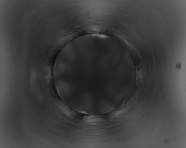 X0000100890331200807220957