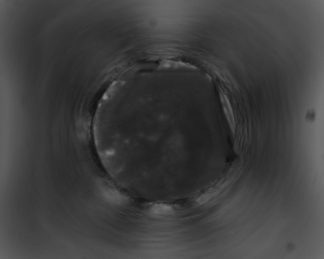 X0000100890332200807220957