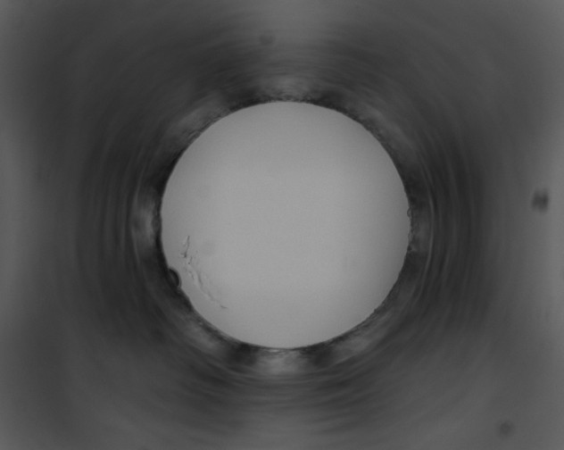 X0000100890334200807220957