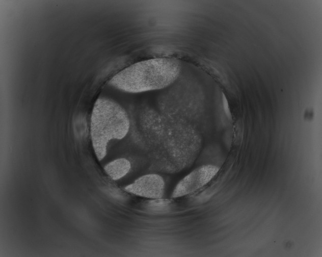 X0000100890335200807220957