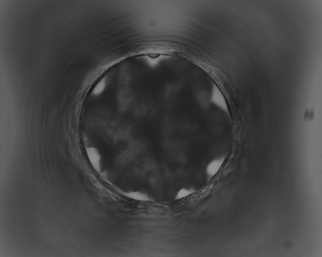 X0000100890337200807220957