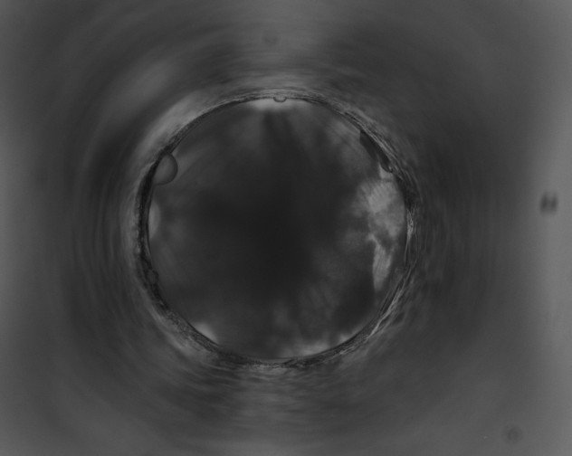 X0000100890339200807220957