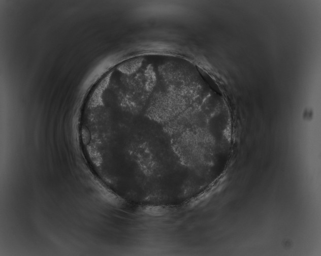 X0000100890341200807220957