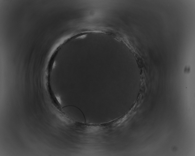 X0000100890342200807220957