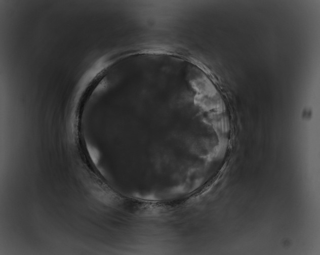 X0000100890343200807220957