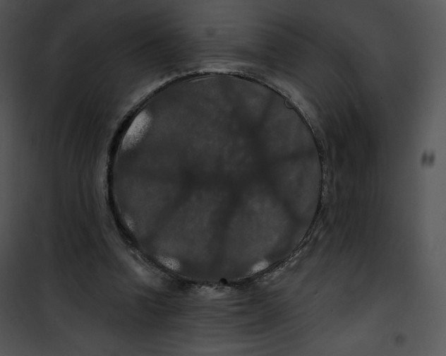 X0000100890346200807220957