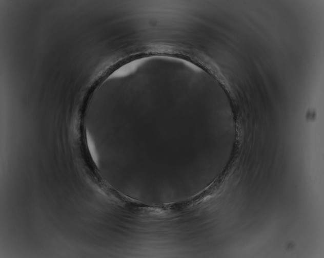 X0000100890347200807220957