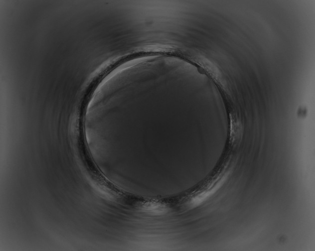 X0000100890348200807220957