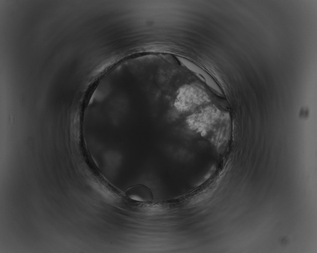 X0000100890349200807220957