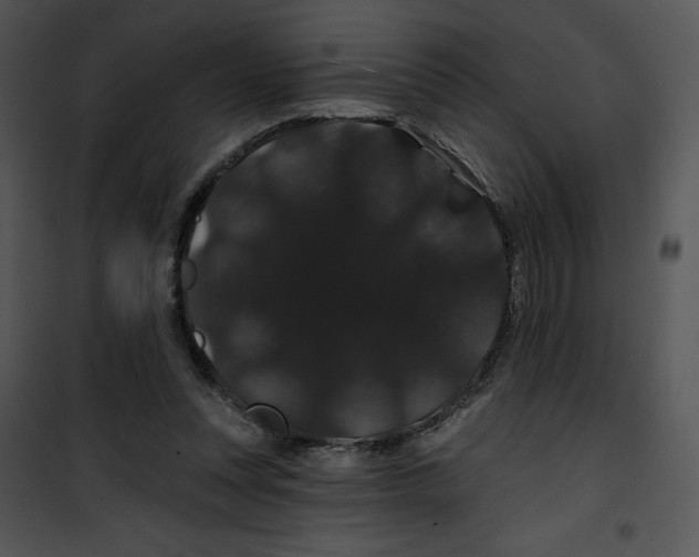 X0000100890351200807220957