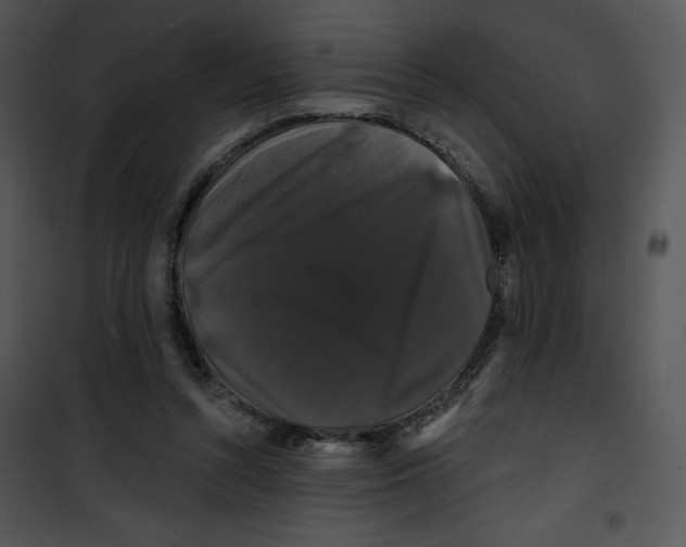 X0000100890352200807220957