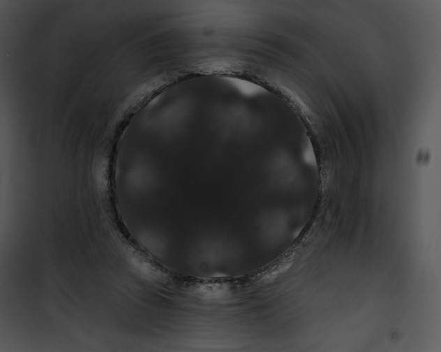 X0000100890353200807220957