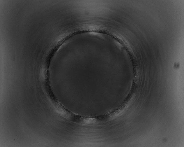 X0000100890355200807220957