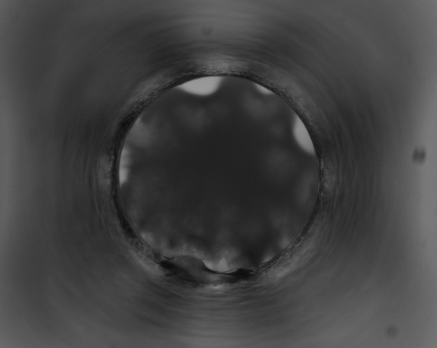 X0000100890357200807220957