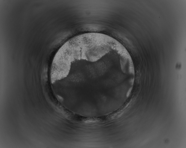 X0000100890358200807220957