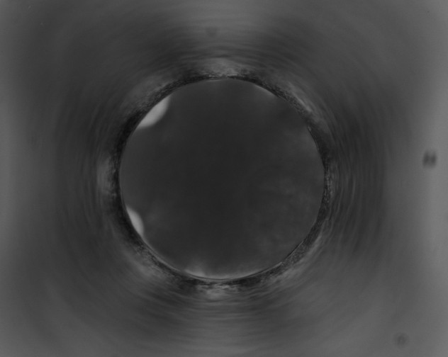 X0000100890359200807220957