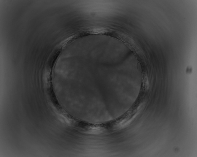 X0000100890360200807220957