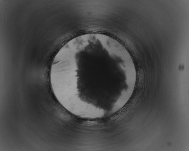 X0000100890361200807220957