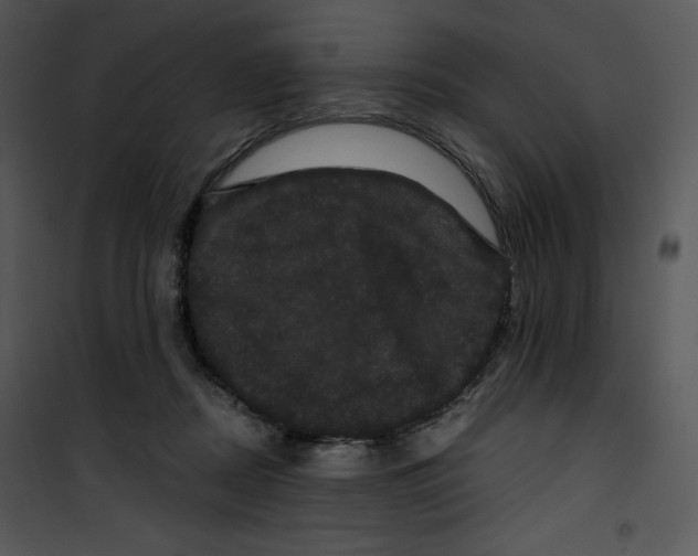 X0000100890362200807220957