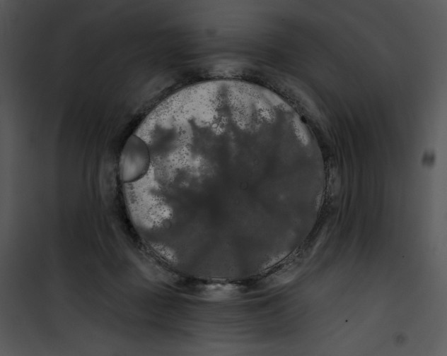 X0000100890363200807220957