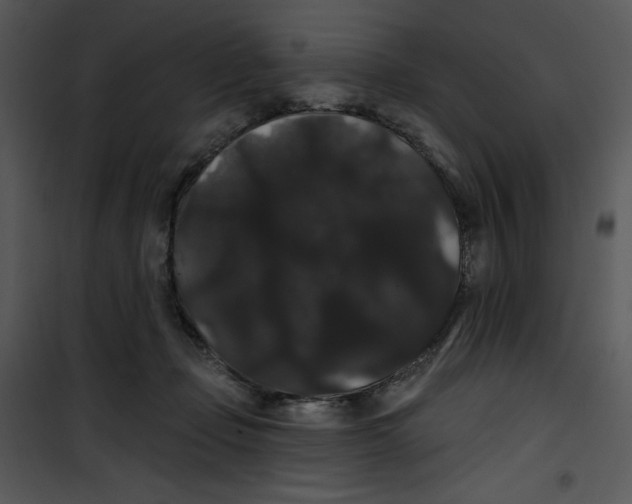 X0000100890365200807220957