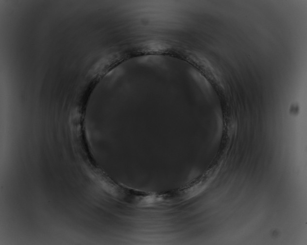 X0000100890366200807220957