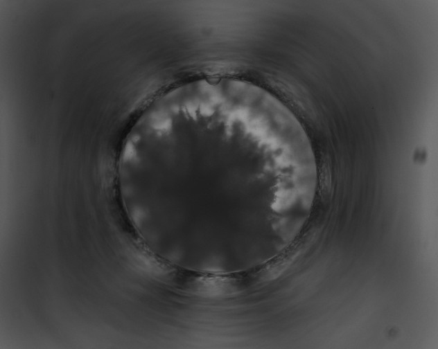 X0000100890367200807220957