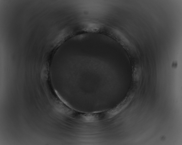 X0000100890370200807220957